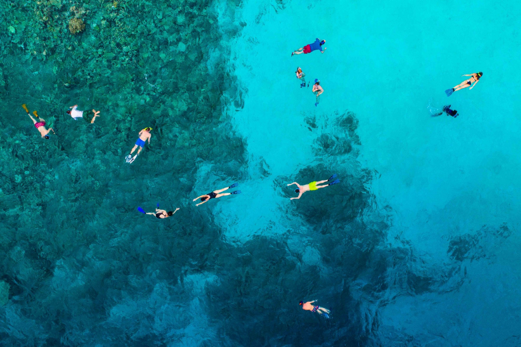 Tropic Tree Maldives снорклинг