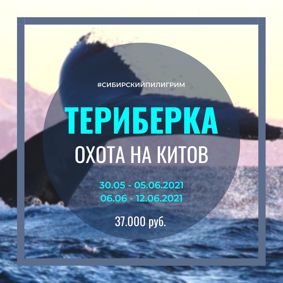 Териберка: океан, киты, дельфины (7 дней) : Кольский полуостров, Териберка,  Мурманск (Экспедиция) тур по цене от 37 000 ₽ · YouTravel.Me