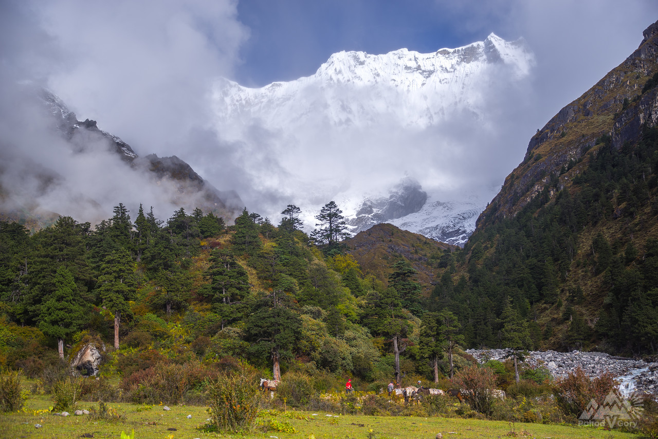 Треккинг в Бутане | Little Snowmen trek : Бутан (Поход) тур · YouTravel.Me