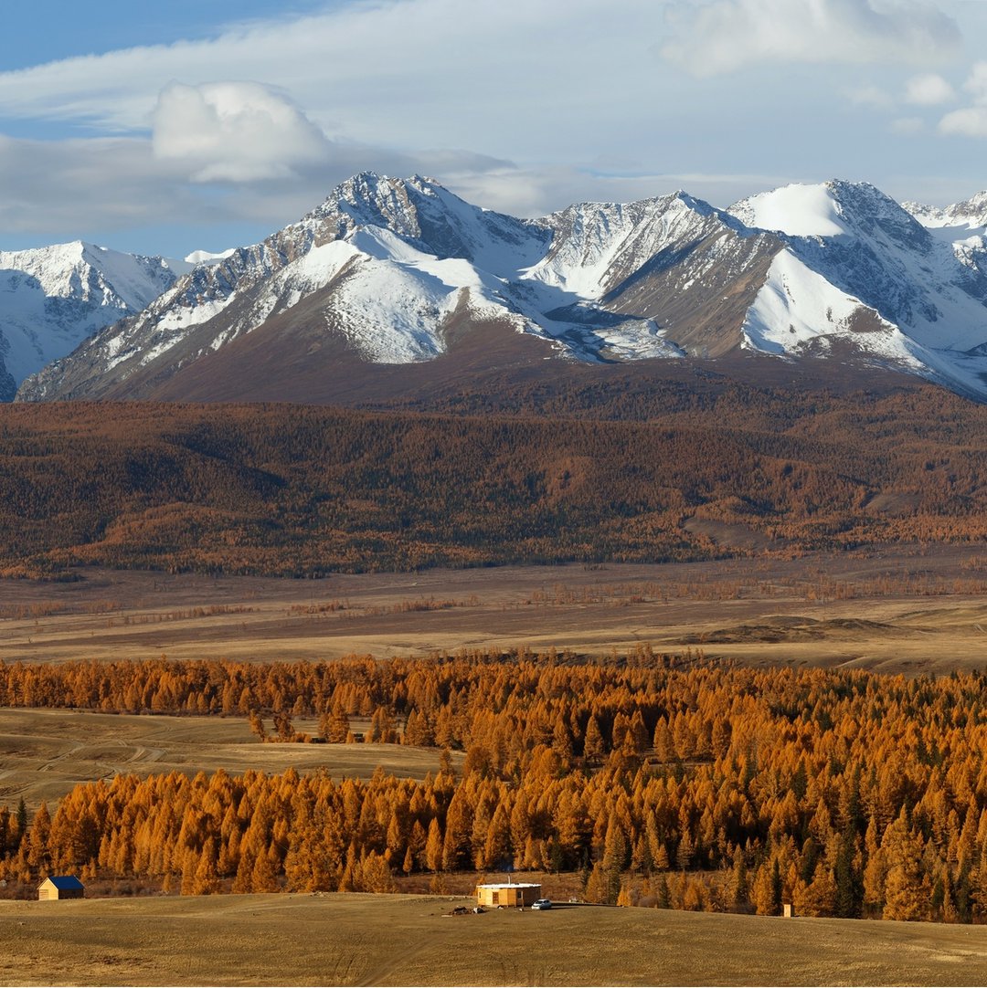 Курайская степь Алтай