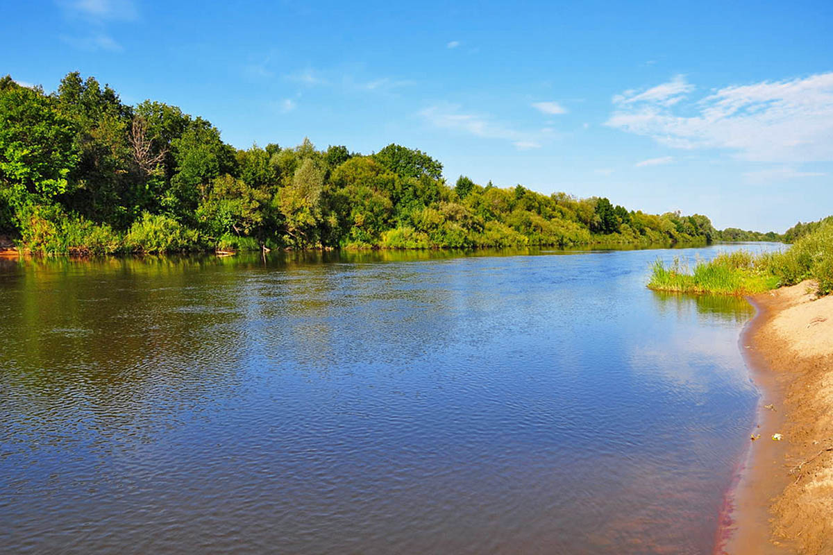 Река мокша в мордовии фото