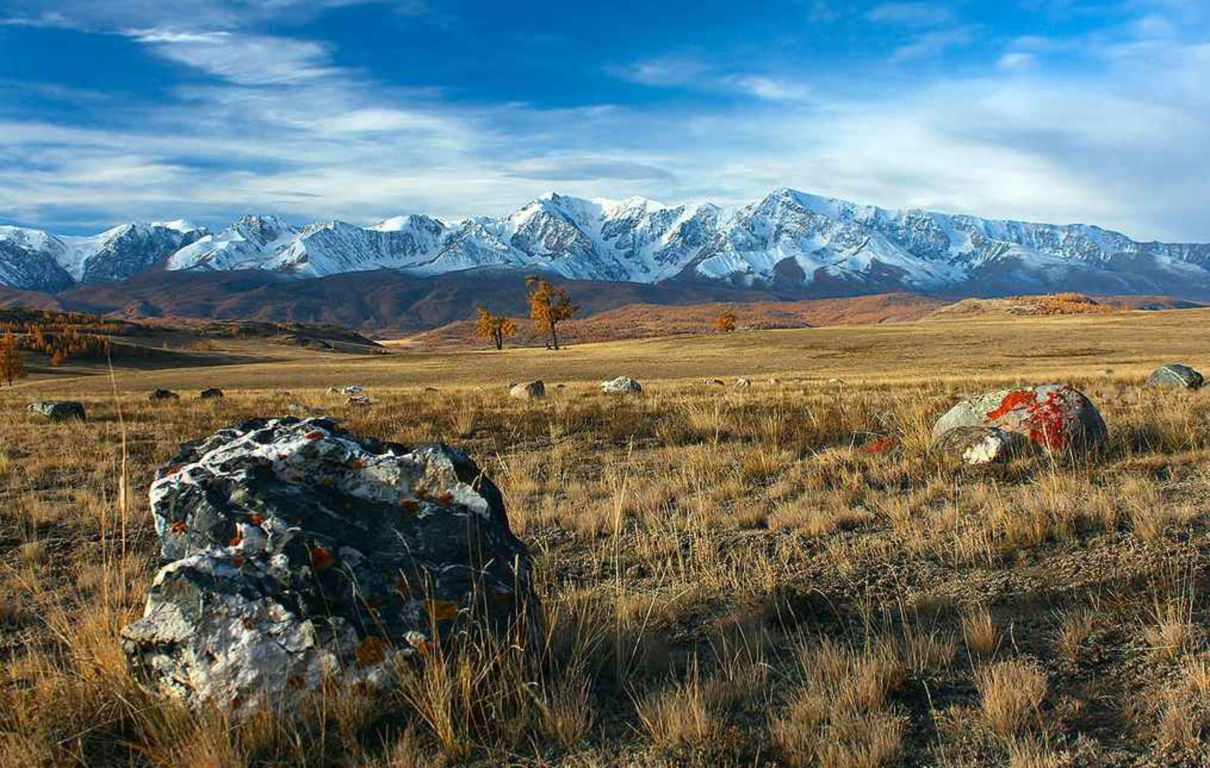 В степях с запада на восток. Курайская степь горный Алтай. Курайская Долина горный Алтай. Курайская степь Чуйская степь. Кош Агач Курайская степь.