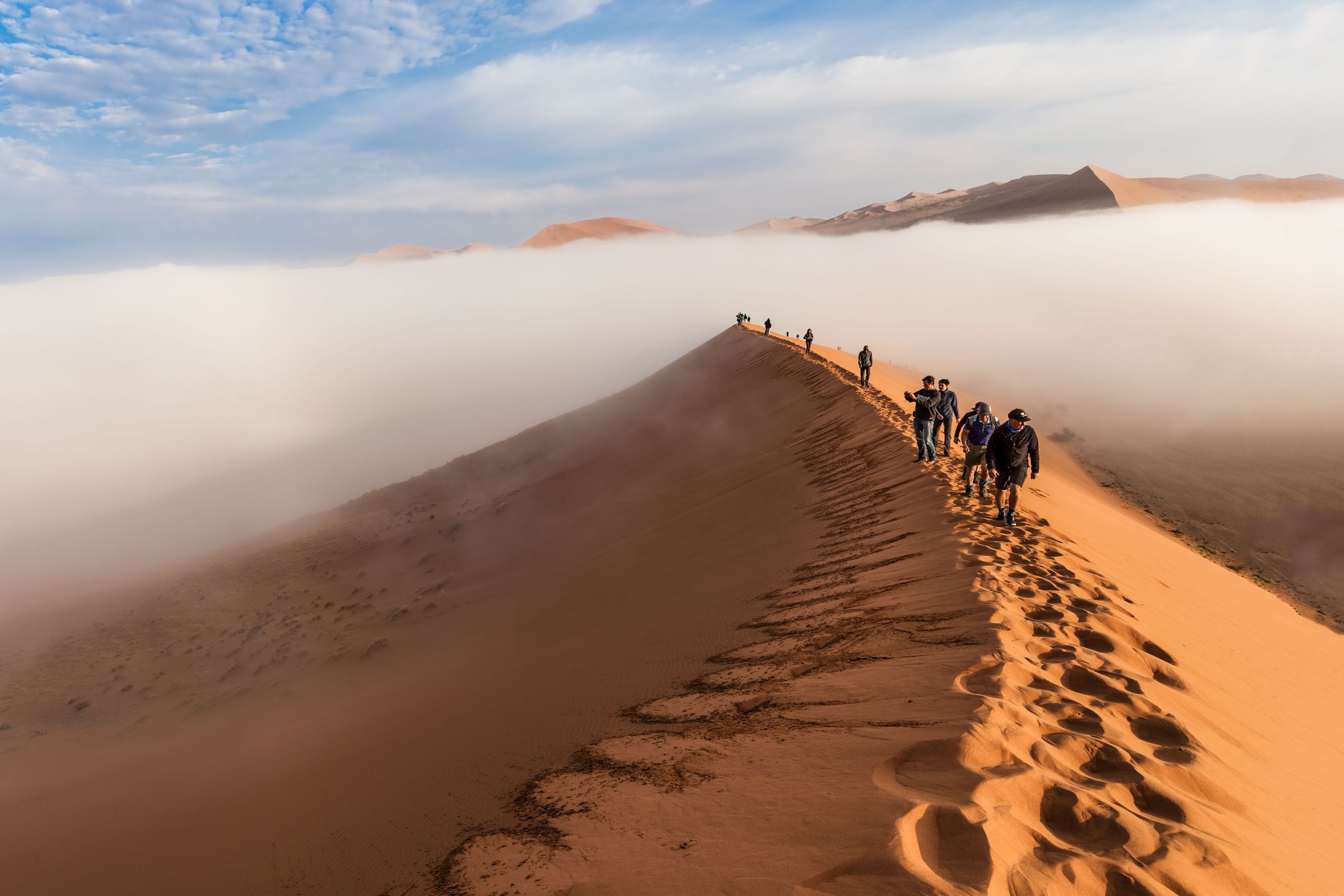 Desert travel. Пустыня Намиб. Намиб пустыня Туманов. Пустыня Намиб туманы. Намибия сафари.