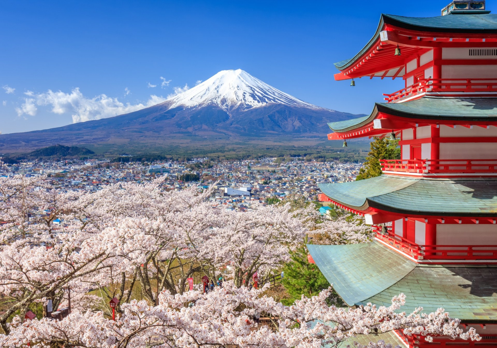 Поездка в японию 2024. Кагосима Япония. Япония цветение Фудзи. Пагада, Япония тур. Япония Сакура и Фудзияма.