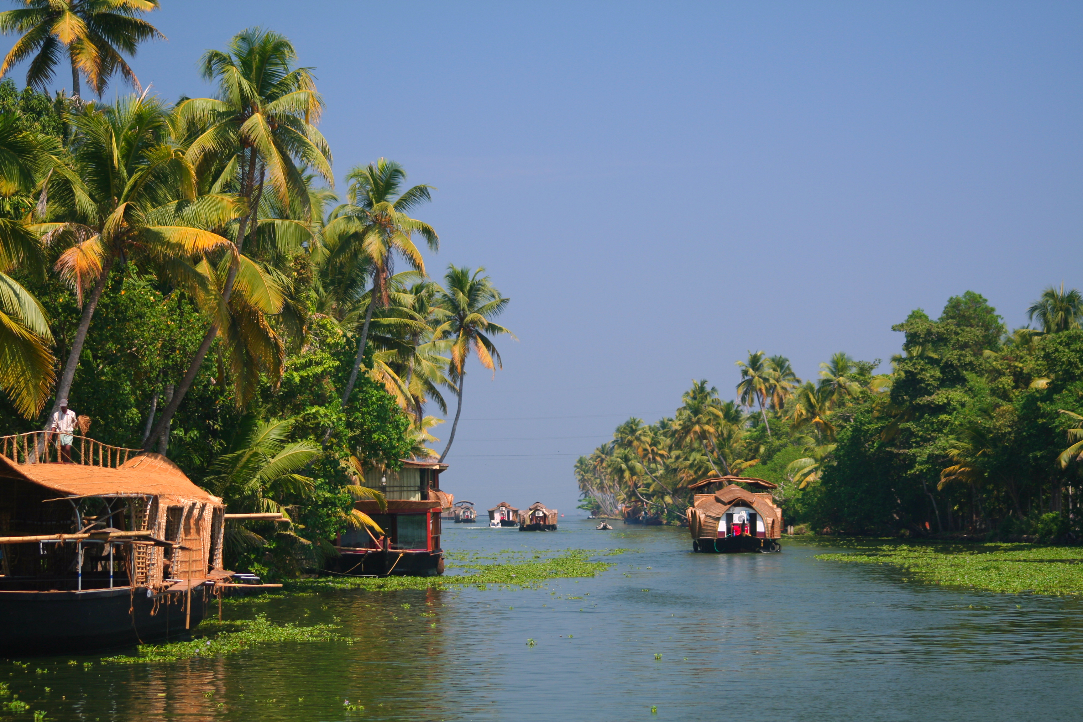 Kerala. Штат Керала Индия. Гоа Керала. Юг Индии Керала. Кочин Керала Индия.