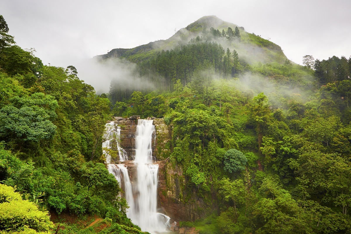 Райская Шри-Ланка: от джунглей до океана!