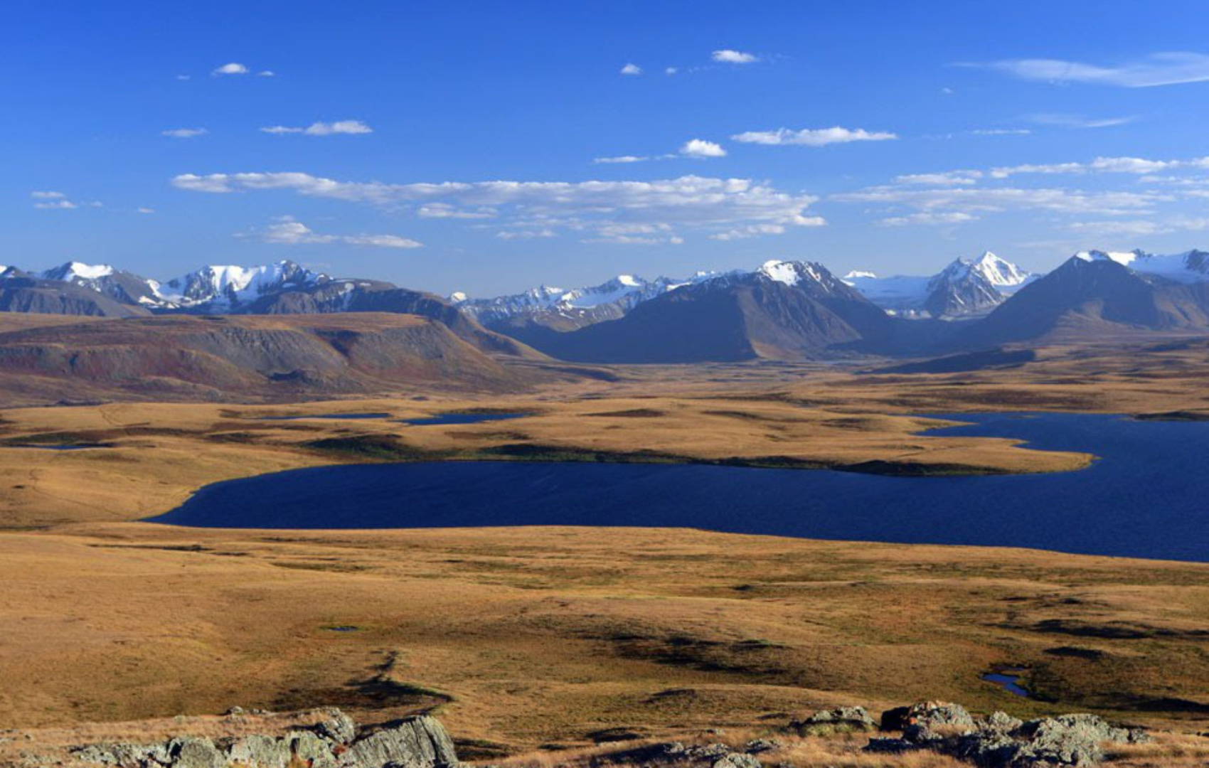 Плато Укок горный Алтай фото