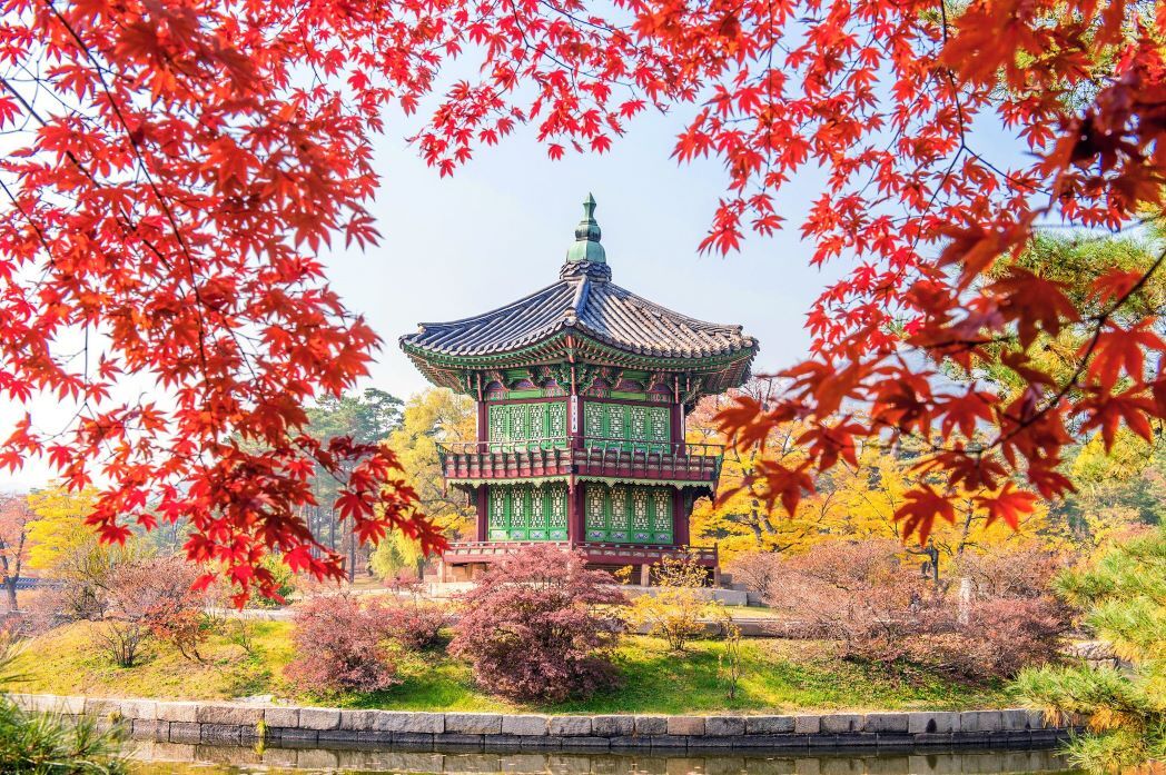 Южная Корея ОСЕНЬ 2024 | Осенняя мозаика Страны утренней свежести