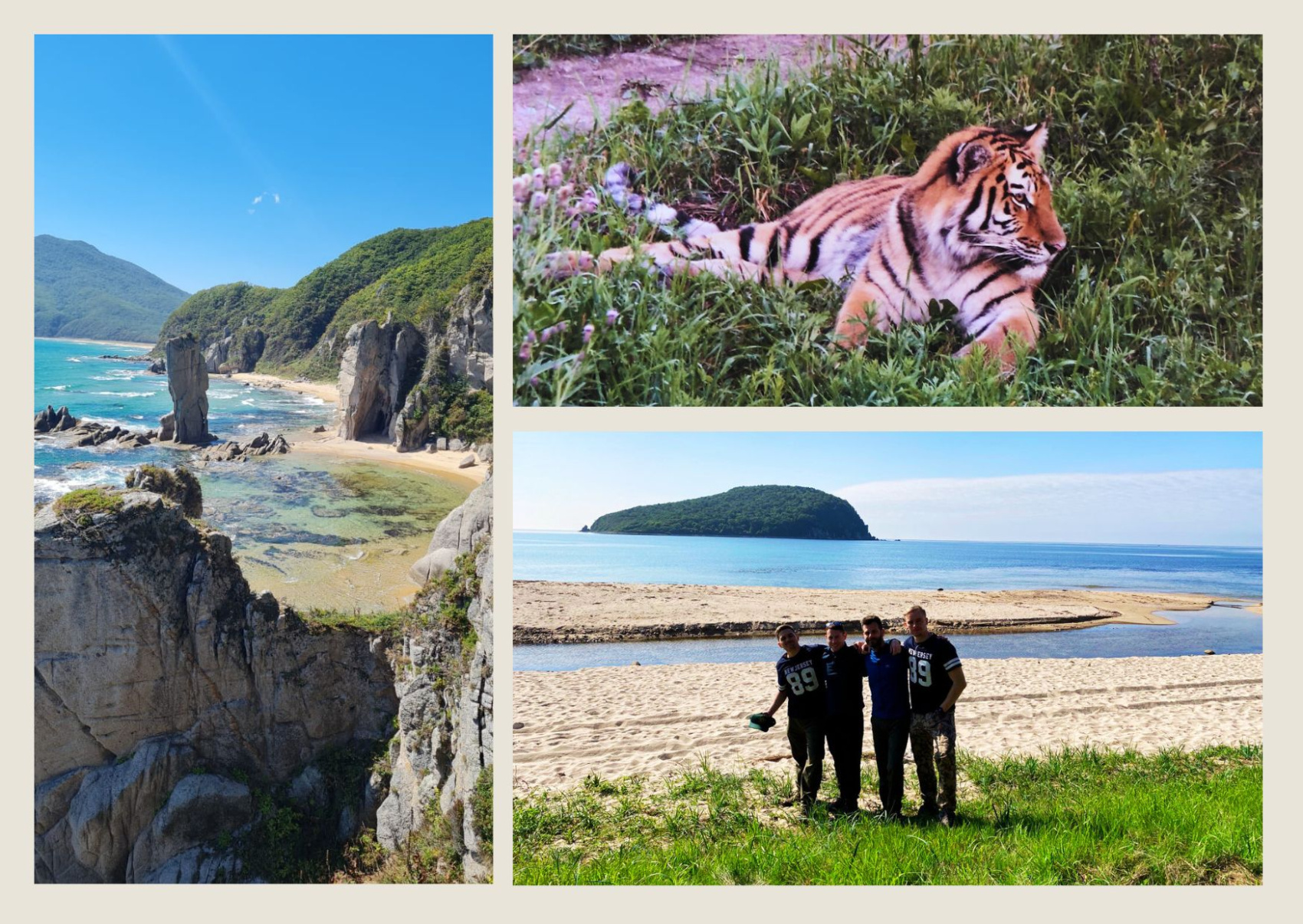 Тигры у моря. Приключенческий тур в Приморье с высоким комфортом.