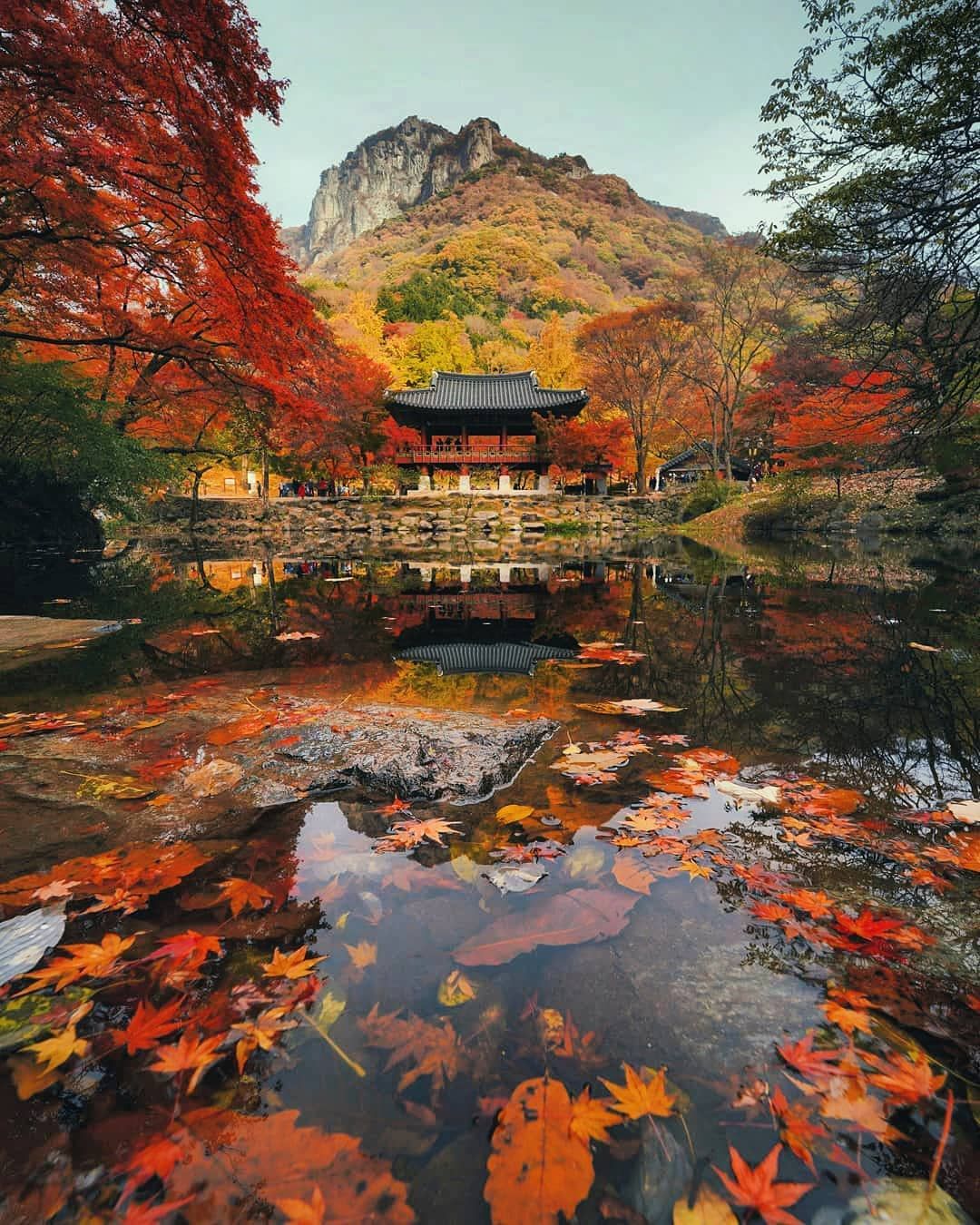 Осень в Корее. Сеул, Пусан + острова