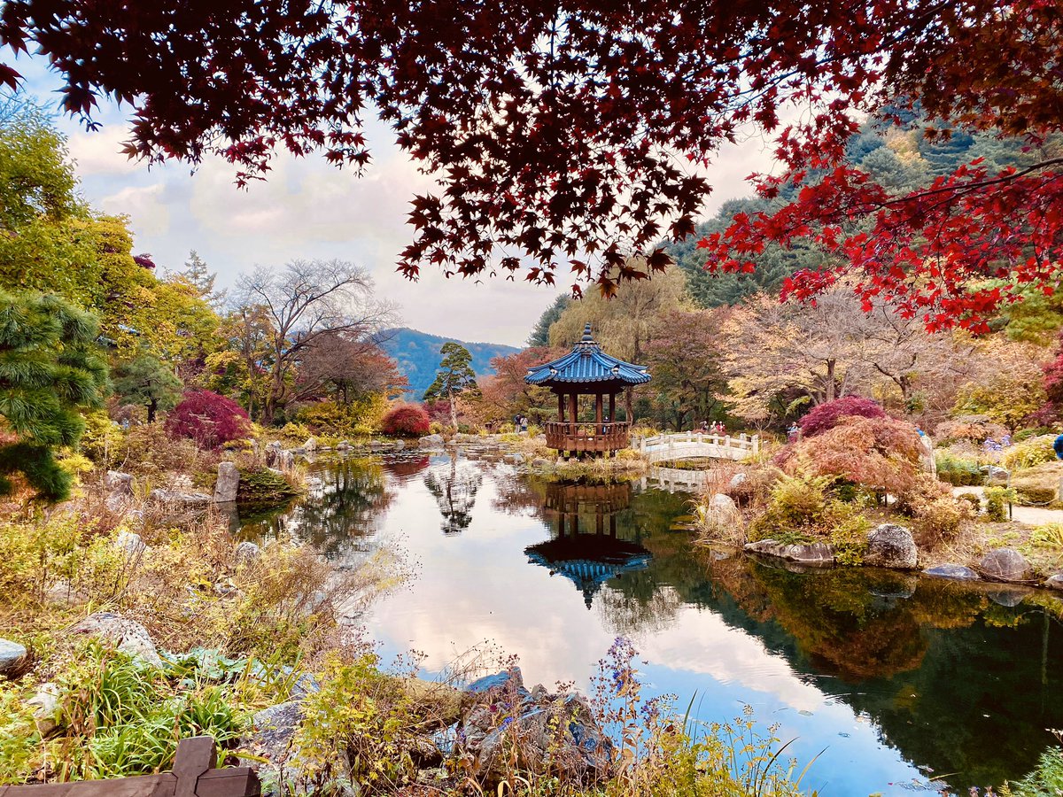 Путешествие в Южную Корею: Яркая осень