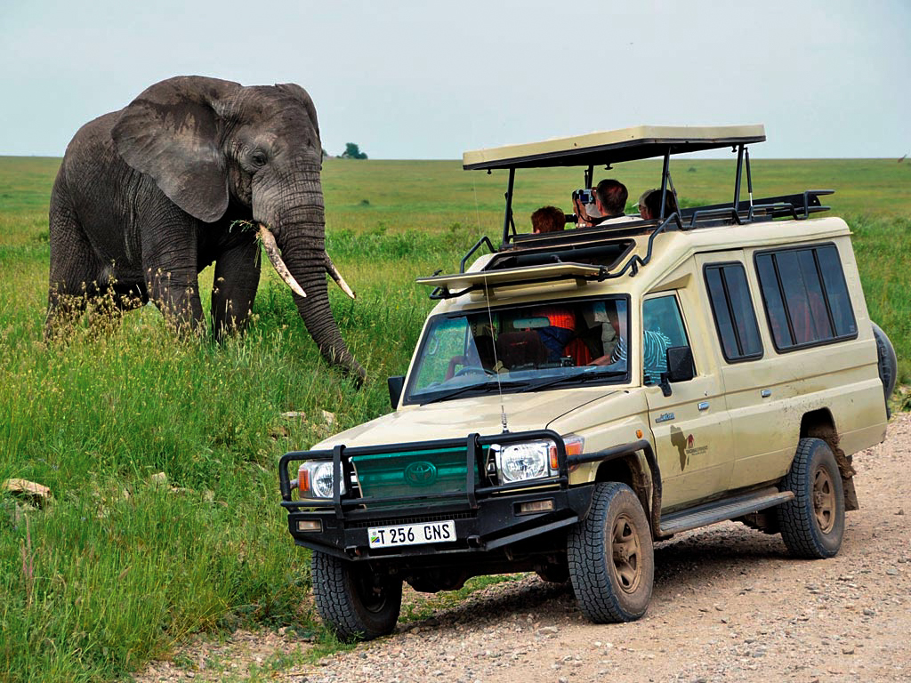 Трехдневное индивидуальное сафари в Танзании Национальный парк Таранги