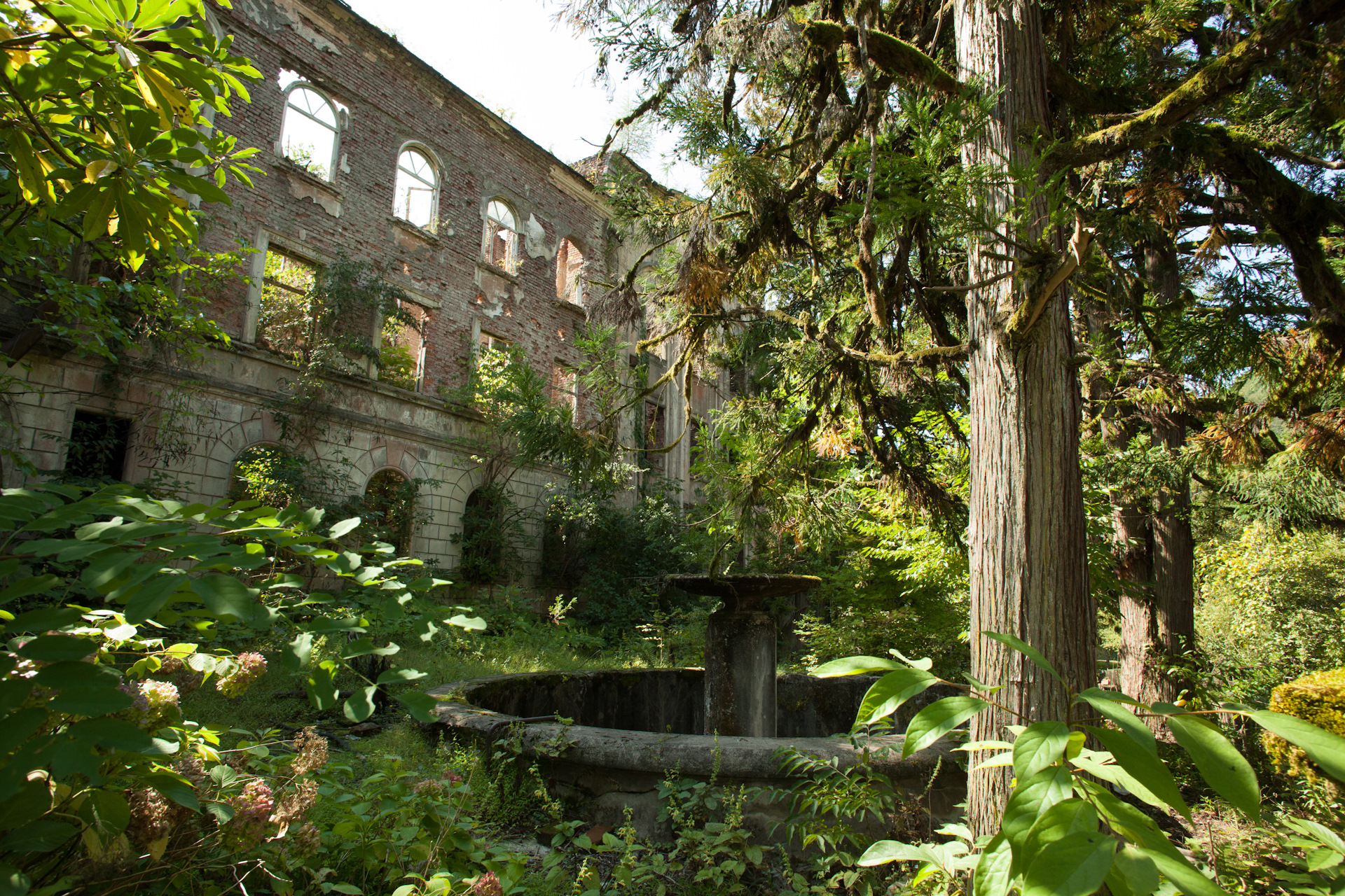Ткуарчал город-призрак. Город призрак в абхазии фото. Акармара город-призрак. Город призрак в абхазии ткуарчал. Абхазия сухум заброшенный город.