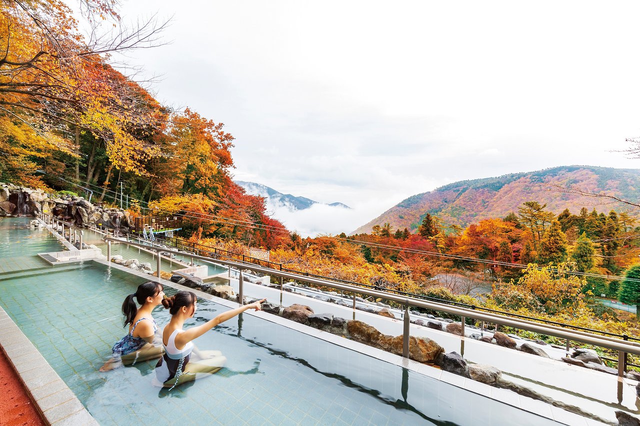 Осенняя Япония. Индивидуальный тур.