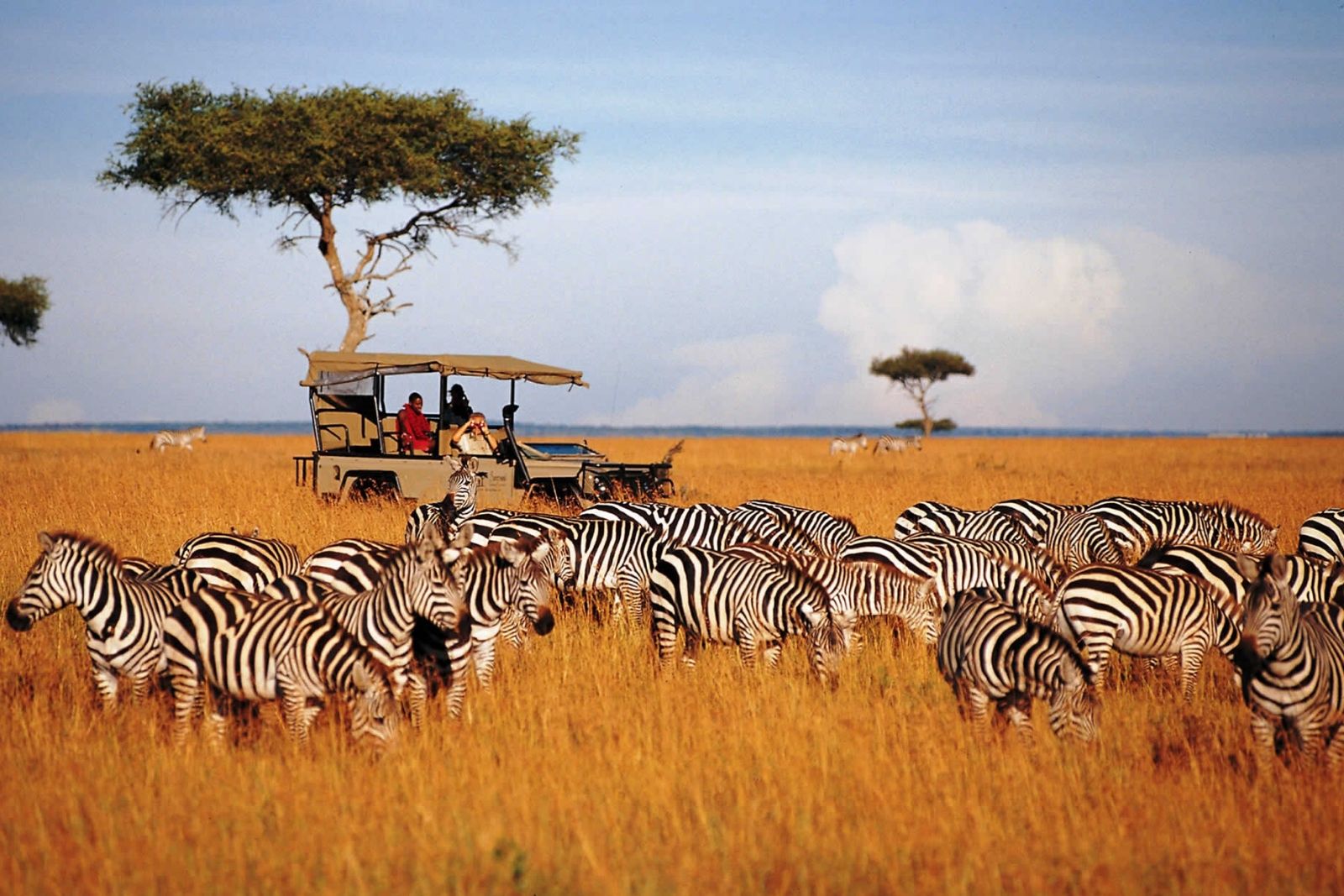 safari kenia koszt