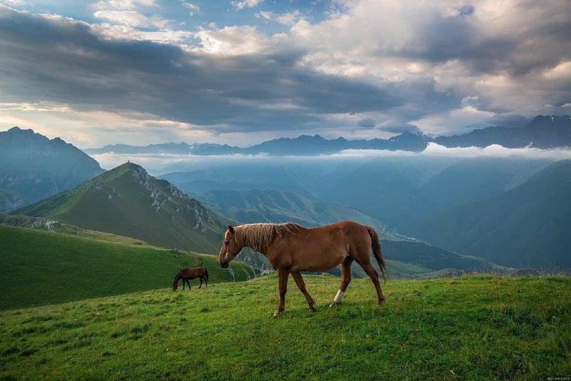 rossiya_relaks_tur