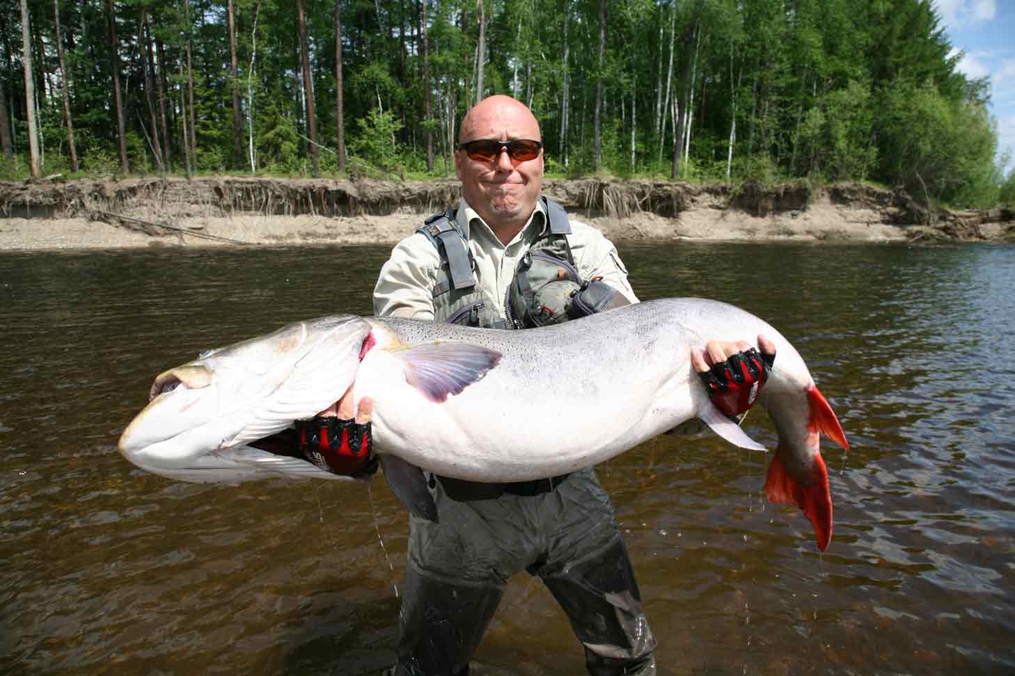 Lake baikal fish hotsell
