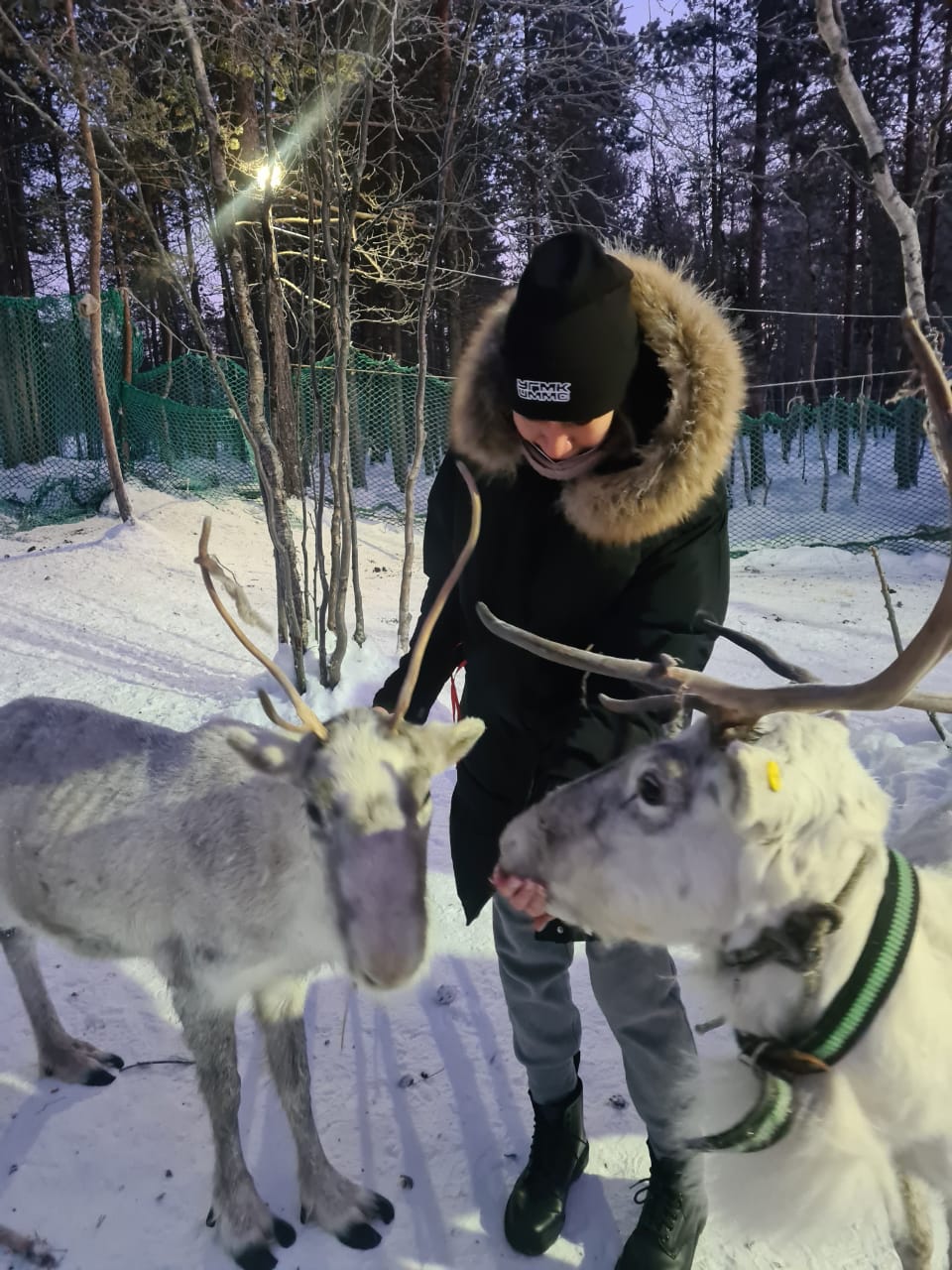 Открой для себя Арктику. Все включено, описание ниже · отдых по цене от 32  000 ₽ · YouTravel.Me