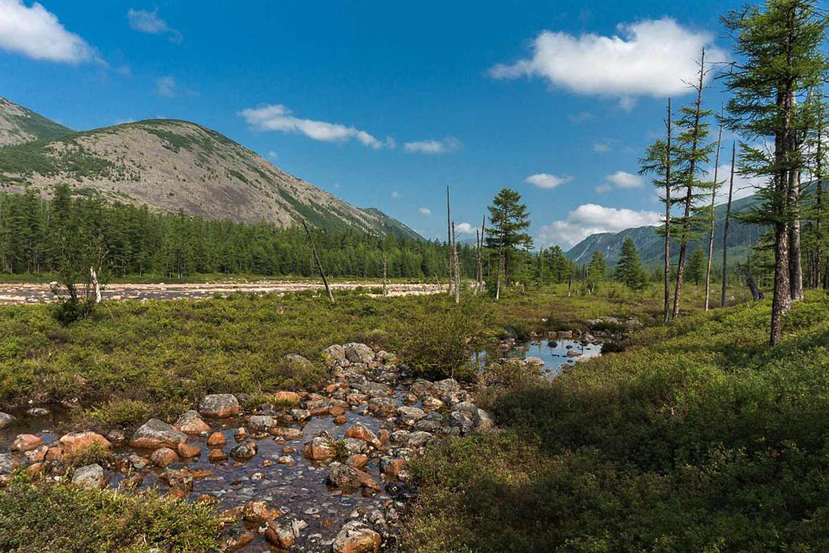 Сулук хабаровский край фото