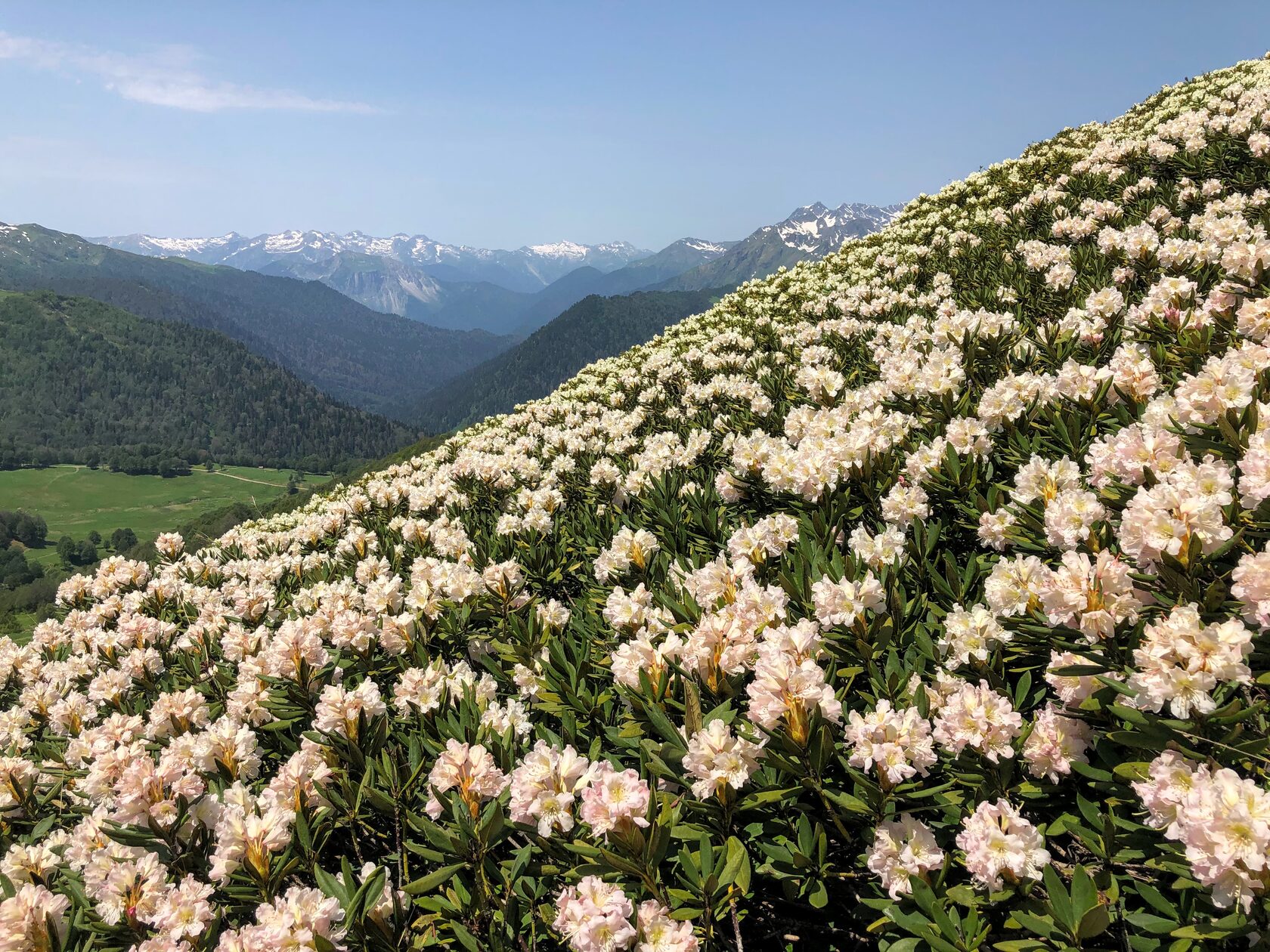 Бритни Скай порно видео Сіздің қынапта саусақ болған кезде қандай сезім бар?