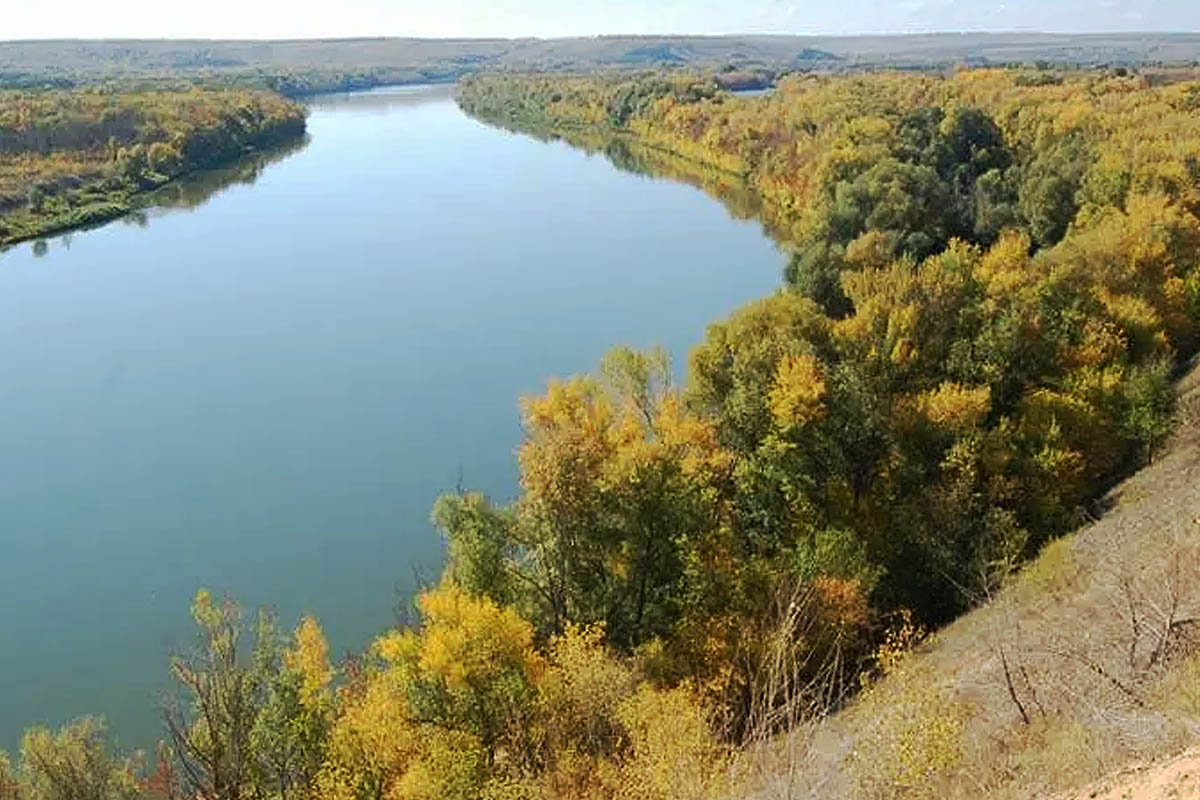 Лебяжий яр вешенская фото