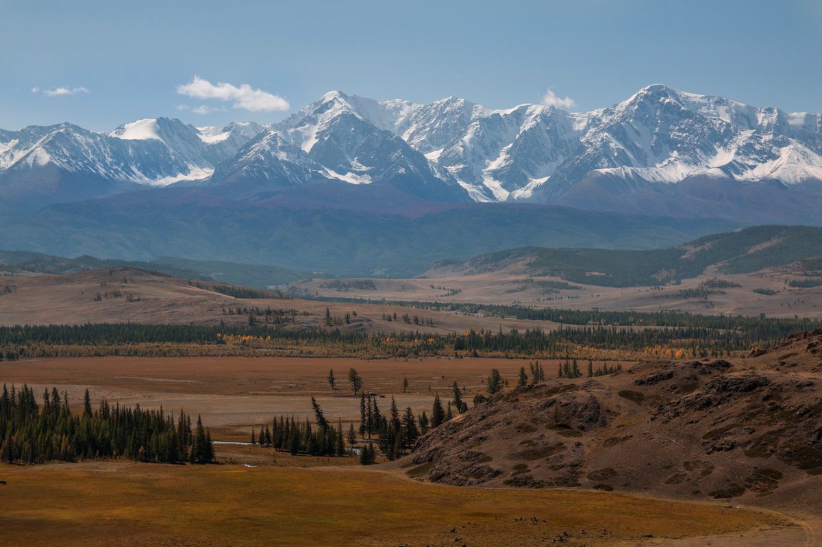 Курайская степь горный алтай фото