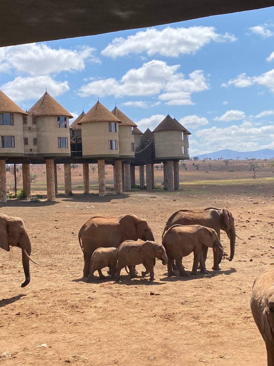 WOW сафари , Отель со слонами и пляжный отдых