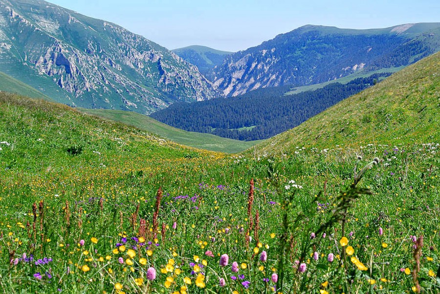 Адыгея в мае фото